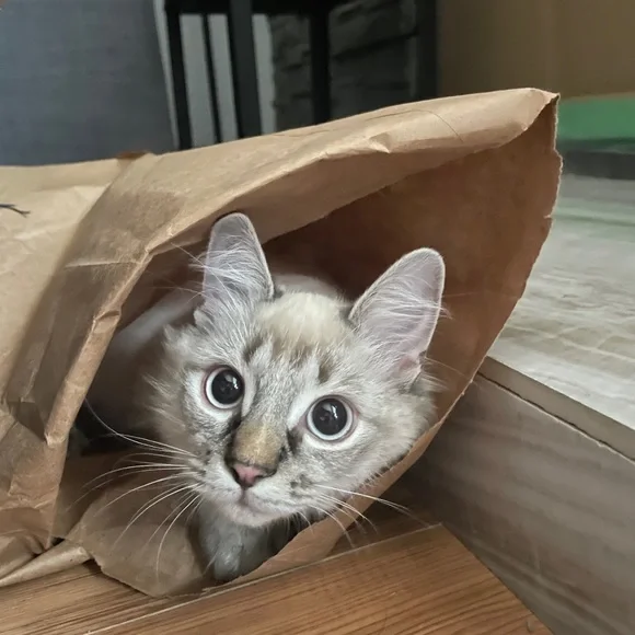 Read me! - Picture 3 of 3